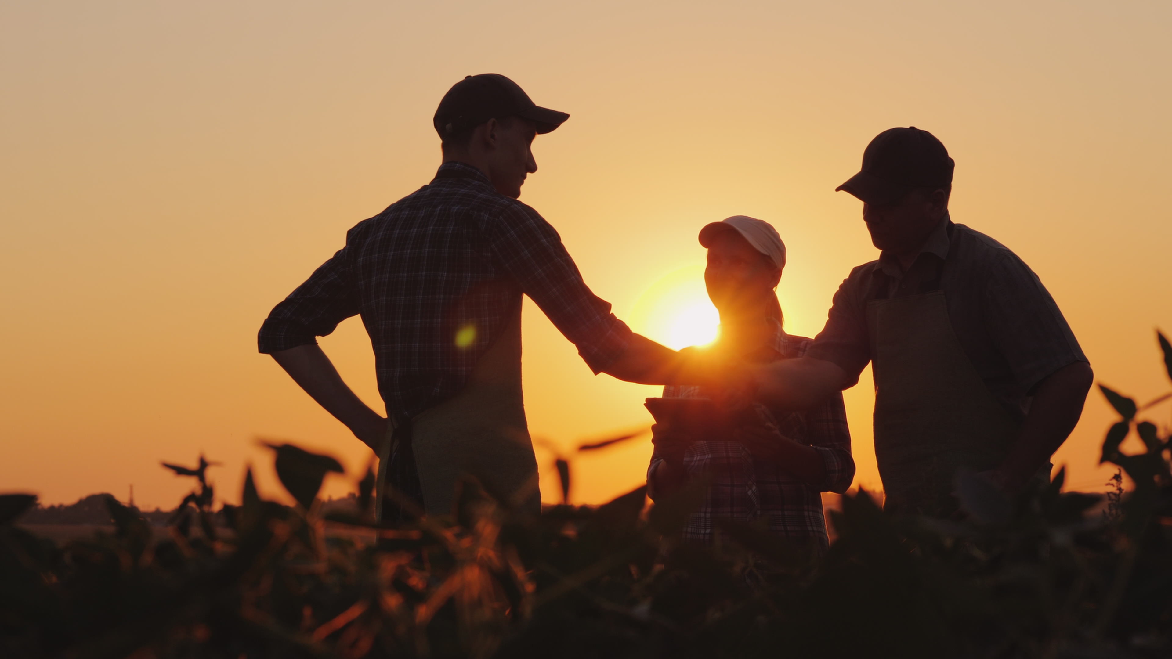 Farmers shaking hands