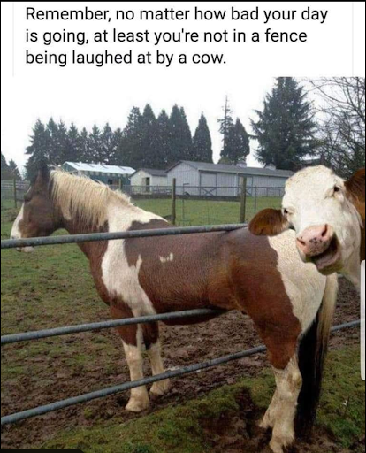 Farming meme of the week