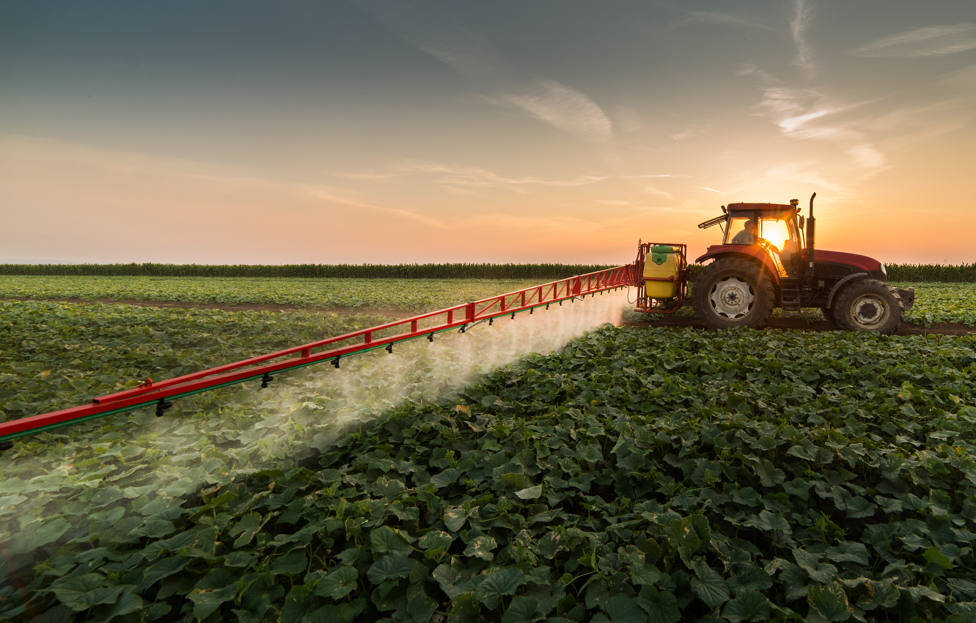 Tractor in a field